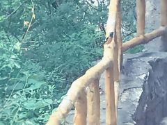 -北京上方山国家森林公园