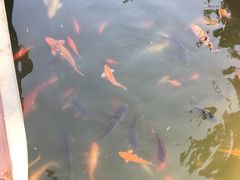 -芭东小镇温泉