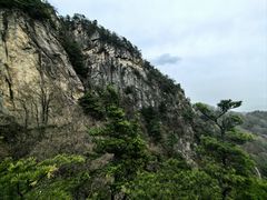-王顺山国家森林公园