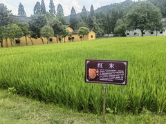 -毛泽东同志旧居