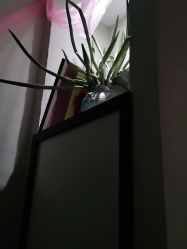 点击看大图 -香秀空间科技抗衰·美容中心