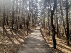 -帽儿山国家森林公园