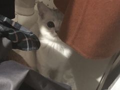 -宠颐生维康宠物医院(金丰店)