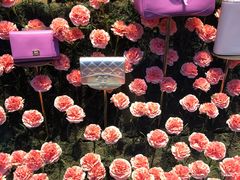 -TORY BURCH(比斯特苏州购物村店)