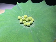 -桂语山房(满觉陇店)