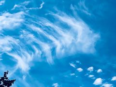 -贺秦生陕面王(富力城店)