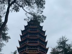 -铁山坪森林公园