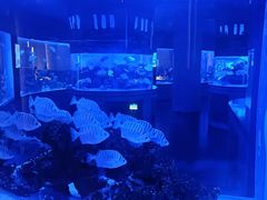 -上和臻品中国菜(花园街店)