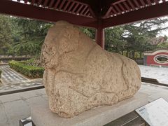 -茂陵博物馆