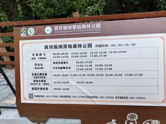 -西双版纳原始森林公园