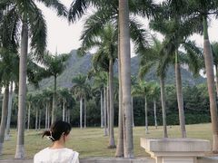 -南宁花花大世界景区