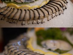 新西兰黑金鲍-金龙·打边炉(武进路店)
