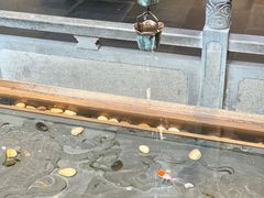 -四季民福烤鸭店(前门店)