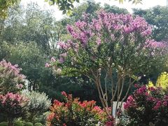 -杭州城北体育公园