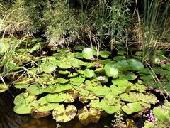 -武汉紫薇都市田园