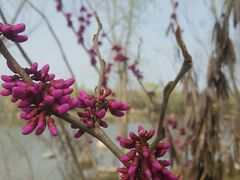 -渭河城市绿地运动公园