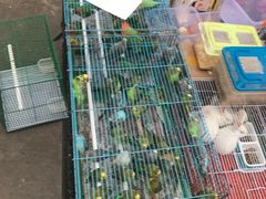 -邱少云烈士纪念馆