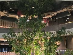 -和苑酒家·一线江景(星寰店)