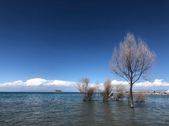 -青海湖国家重点风景名胜区