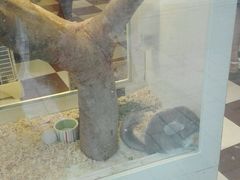 -龙猫仔乐园(惠福东路店)