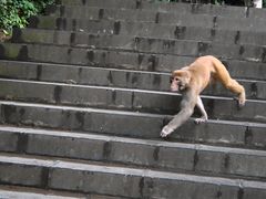 -黔灵山公园-南门售票处