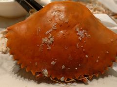 -青蓬蒸汽海鲜·深圳老字号·团建聚会(壹方城店)