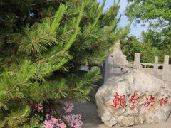 -大槐树寻根祭祖园