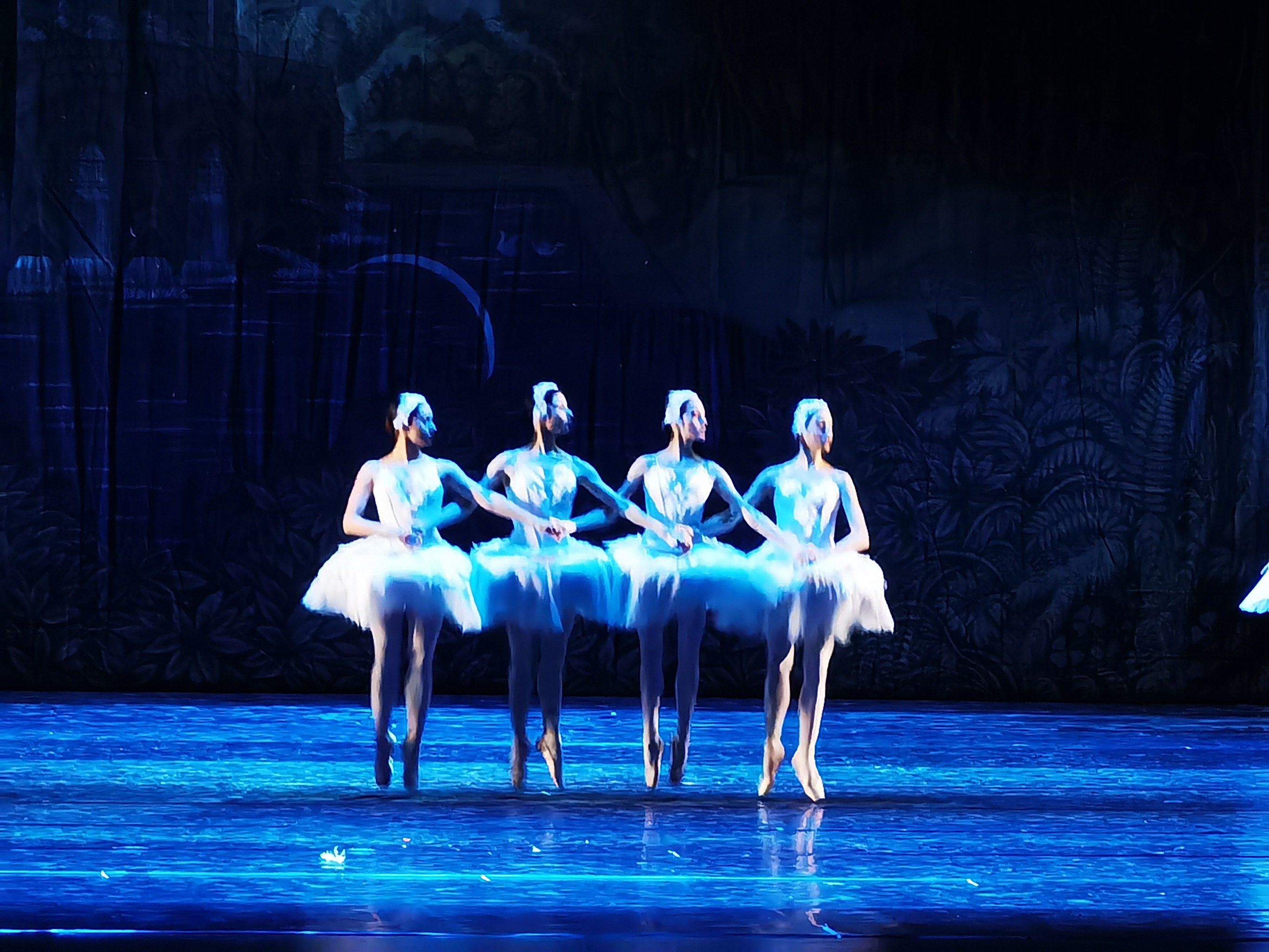 俄罗斯国家芭蕾舞剧院 天鹅湖