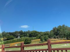 -棒棰岛宾馆景区