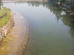 -五里桥文化公园-西侧停车场