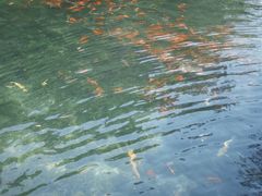 -水磨沟公园