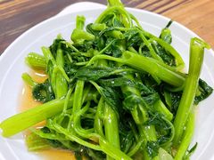 -广达眼镜炖罐(广达店)