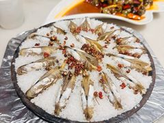 -华盛丰温州大排档(东三环南路店)