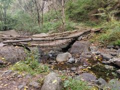 -云岫谷游猎自然风景区