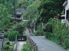 -龙井村