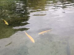 -丽江玉水寨