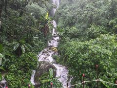 -莫里热带雨林景区