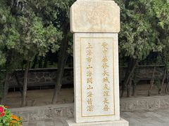 -老龙头景区