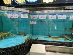 -大水车公馆·顺德菜·妈姐菜(均安店)