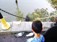 -茵特拉根酒店·西餐厅