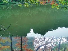 -深圳仙湖植物园