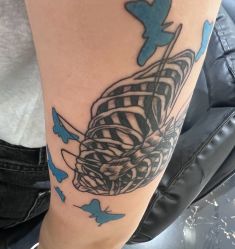 -雕哥的纹身店A3 TATTOO&纹身培训