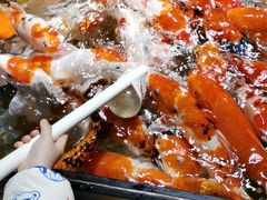 -太平洋海底世界