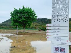 -风云岭森林公园