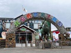 -北京鹿世界主题园