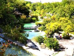 -吴淞炮台湾湿地森林公园烧烤区