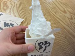 -野人先生Gelato(上海长宁龙之梦店)