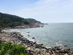 -广东惠东海龟国家级自然保护区