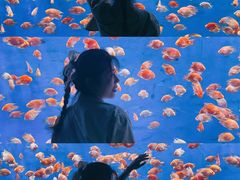 -南京金牛湖风景区