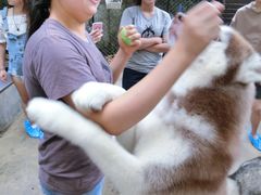 -TrueLove @ Neverland (Husky Cafe)